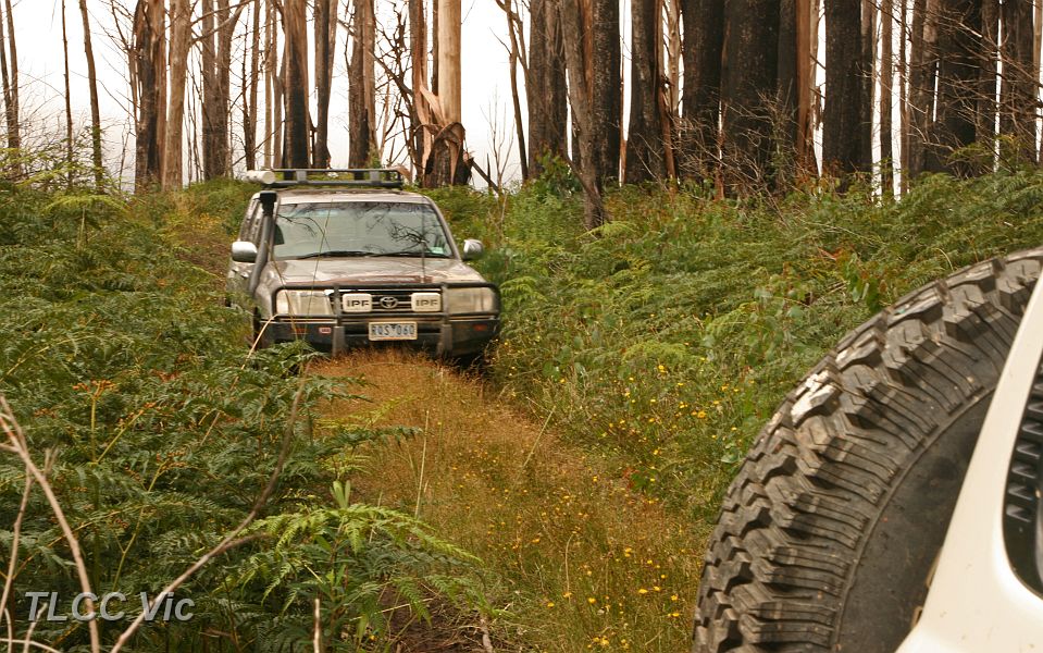 08-Drifter approaches Mt Strickland summit.JPG